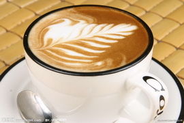 夏季饮料店加盟哪个牌子好