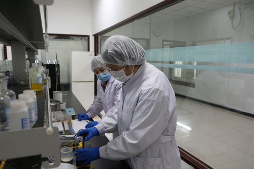 复工后防疫如履薄冰，顺义食品厂入门11道关卡让人“失眠”